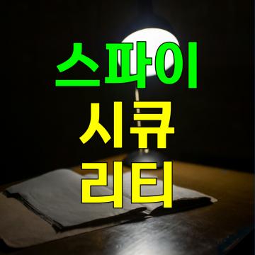 10년 이상 전문가들로 구성된 전문팀 스파이시큐리티